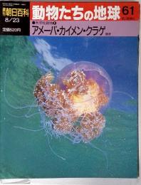 動物たちの地球 61　アメーバ・カイメン・クラゲ