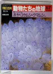 朝日百科 動物たちの地球 67