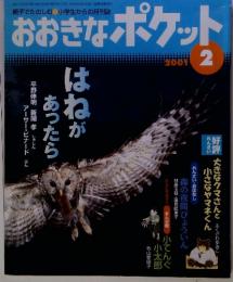 おおきなポケット　2001年2月