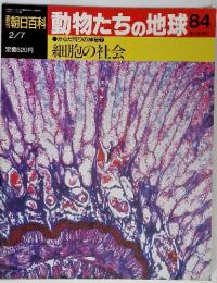 朝日百科 動物たちの地球84　細胞の社会