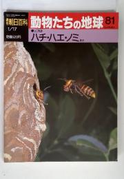 朝日百理科　1/17　動物たちの地球 81　