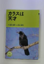 カラスは天才