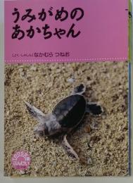 うみがめのあかちゃん