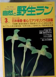 自然と野生ラン　1997年3月号