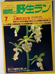 自然と野生ラン　1997年7月号