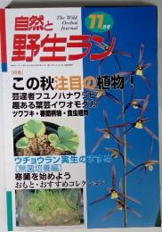 自然と野生ラン　2000年11月