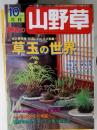 山野草　2002年10月