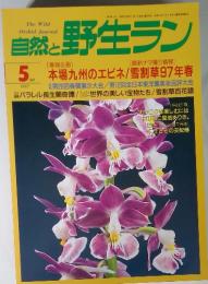 自然と野生ラン　1997年5月