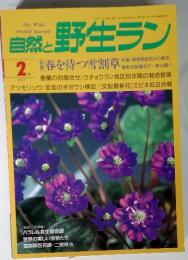 自然と野生ラン　1997年2月