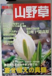 山野草　4月号2003