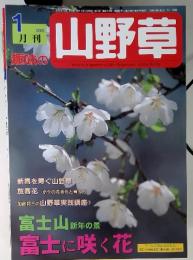 趣味の山野草　2002年1月号