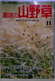 趣味の山野草 自然を守り緑を育てる月刊誌 1990年11月 No.124