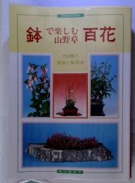 趣味の山野草　鉢で楽しむ山野草百花　