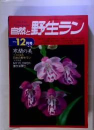 自然と野生ラン　1994年12月