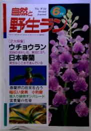 自然と野生ランク　1999年 6月号