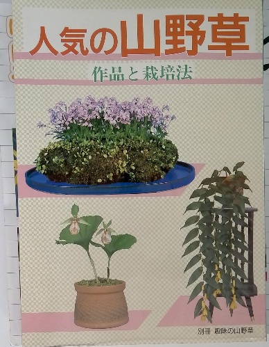 源平の盛衰 日本歴史シリーズ 5 / 古本配達本舗 / 古本、中古本