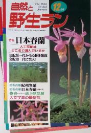 自然と 野生ラン　日本春蘭 人工交配は どこまで進んでいるか　1998年12月