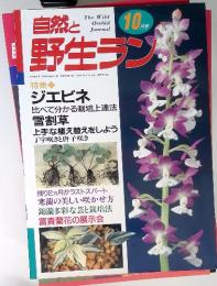 自然と野生ラン　1999年10月