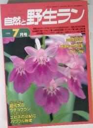 自然と野生ラン　1996 7 月号