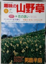 趣味の山野草　　1999年1月