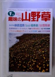 趣味の山野草　1997年１月号