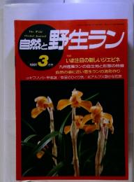 The Wild Orchid Journal　自然と野生ラン　１９９１年３月号