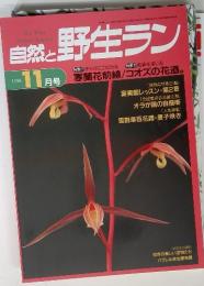 The Wild Orchid Journal 自然と野生ラン　1996年11月号