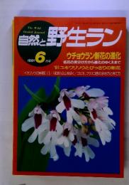 自然と野生ラン　1991年6月号