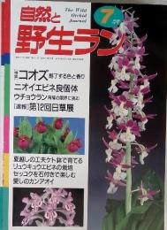 自然と野生ラン　1998年7月号