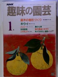 趣味の園芸　1986年1月号　庭木の樹形づくり　