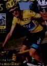 ツール・ド・フランス 100回大会完全レポート 2013年　No.35