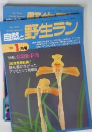 自然と野生ラン　1995　1月号