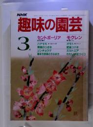 趣味の園芸　3月号　 セントポーリア・モクレン