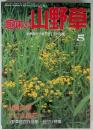 趣味の山野草　1992年5月　No. 142