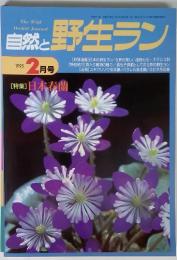 自然と野生ラン　1995年2月号