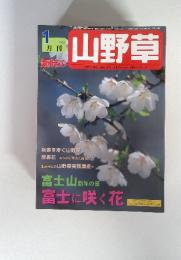 趣味の山野草　2002年1月　富士山　新年の景　富士に咲く花