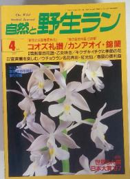 自然と野生ラン　コオズ礼讃/カンアオイ・錦蘭　1997年4月