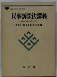 民事訴訟法講義　基礎的理論と判決手続
