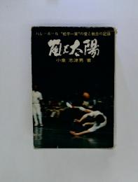 バレーボール “松平一家”の愛と執念の記録　嵐と太陽