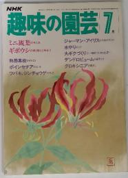 NHK　趣味の園芸　7月　ミニ観葉の手  ギボウシの植え替えと株分け