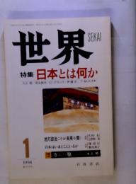 世界　特集　日本とは何か　1994　1