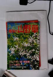 趣味の山野草　1992年4月号