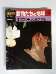 週刊朝日百科　動物たちの地球　（40）　１９９２年　３月号