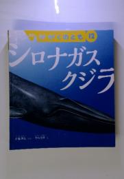 月刊　かがくのとも　12　シロナガスクジラ