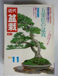 近代　盆栽　1983年11月　五葉松の盆栽