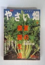 やさい畑　春の菜園生活　夏　2002年春号