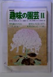 NHK趣味の園芸　11月