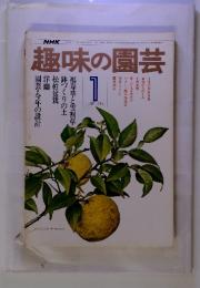 NHK趣味の園芸　1977年1月号