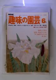 NHK趣味の園芸　1977年6月号