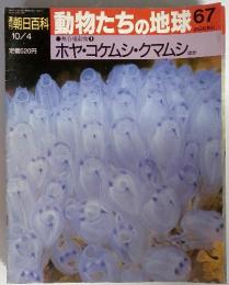 週刊朝日百科　動物たちの地球　67　無脊椎動物7　ホヤ・コケムシ・クマムシほか　10/4